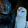 Still of Helen Mirren and Joel Edgerton in Legend of the Guardians: The Owls of Ga'Hoole