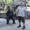 Still of Kevin James in Zookeeper