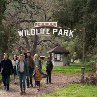 Still of Matt Damon, Patrick Fugit, Scarlett Johansson, Elle Fanning, Colin Ford and Maggie Elizabeth Jones in We Bought a Zoo