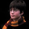 Still of Daniel Radcliffe in Harry Potter and the Sorcerer's Stone