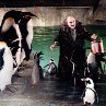 Still of Danny DeVito in Batman Returns