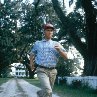 Still of Tom Hanks in Forrest Gump