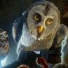 Still of Miriam Margolyes, Jim Sturgess and David Wenham in Legend of the Guardians: The Owls of Ga'Hoole