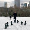 Still of Jim Carrey in Mr. Popper's Penguins