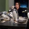 Still of Jim Carrey in Mr. Popper's Penguins