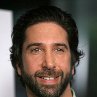 David Schwimmer at event of Trust