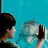 Still of Nathan Gamble in Dolphin Tale