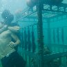 Still of Chris Carmack and Dustin Milligan in Shark Night 3D