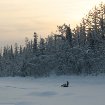 Happy People: A Year in the Taiga