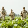 Still of George Clooney, John Turturro and Tim Blake Nelson in O Brother, Where Art Thou?