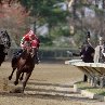 Still of Gary Stevens and Chris McCarron in Seabiscuit