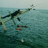 Jaws