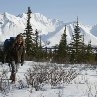 Still of Emile Hirsch in Into the Wild